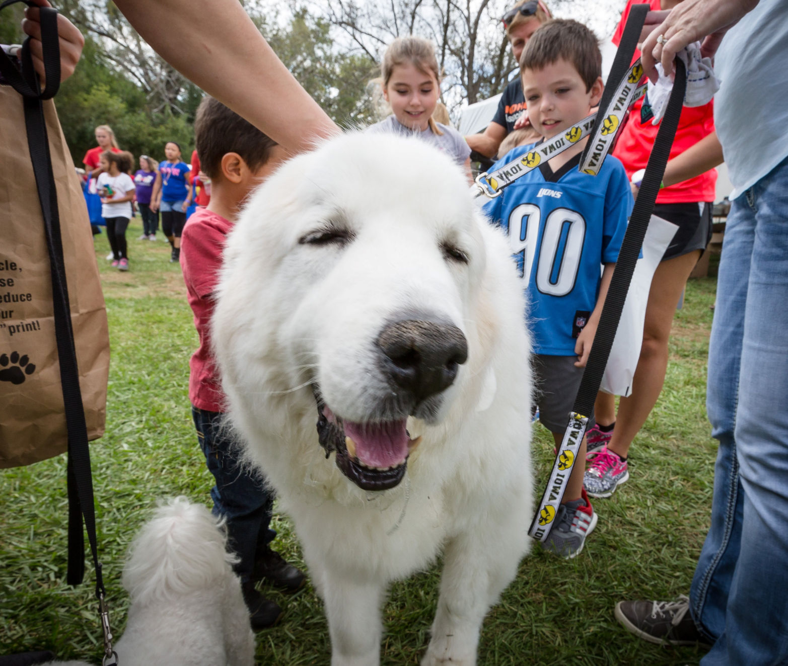 848876 KS-03_HUMANESOCIETY_photo003